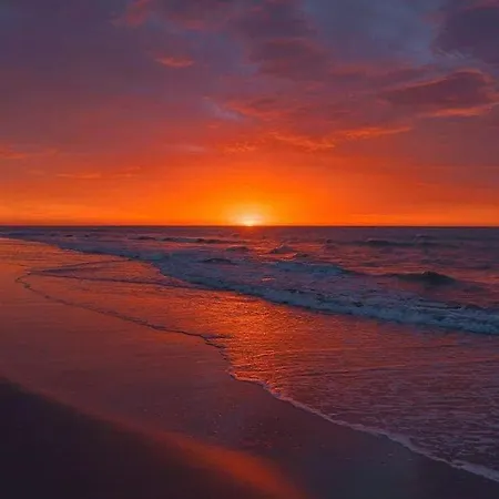 в 別荘 *